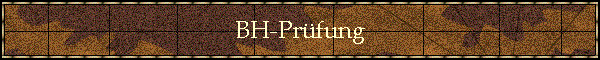 BH-Prfung