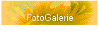 FotoGalerie