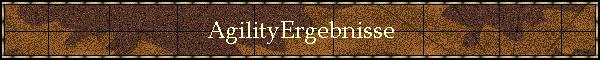 AgilityErgebnisse