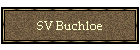 SV Buchloe
